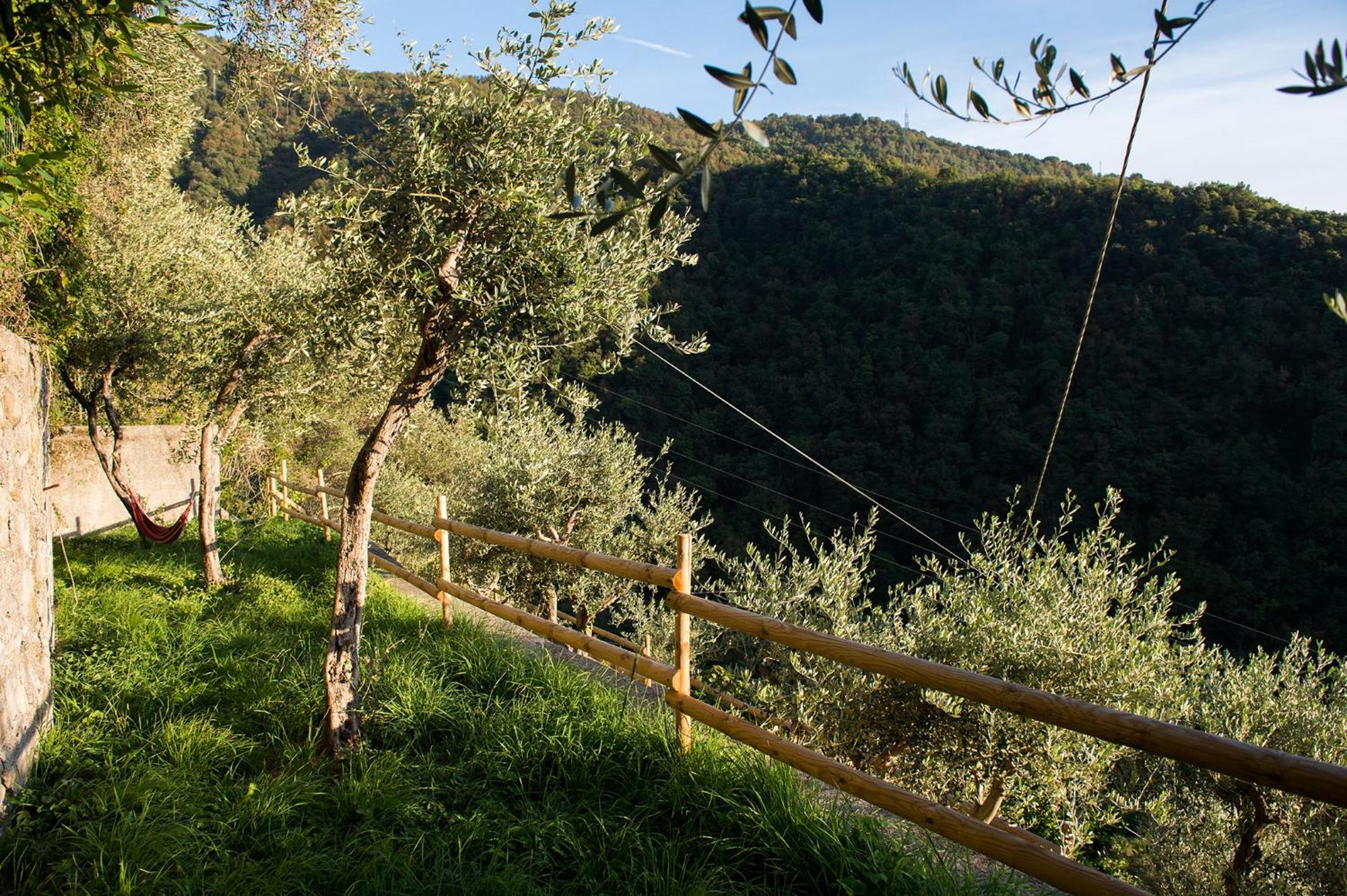 Re Dream Suite A Tema - Rapallo Exterior foto